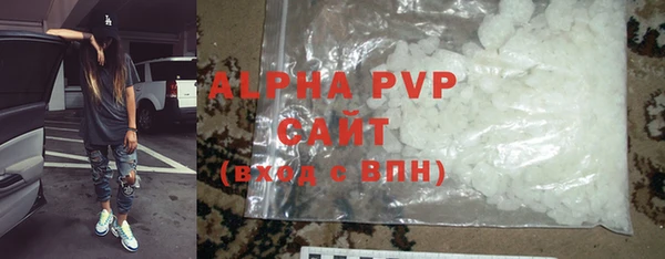 индика Арсеньев