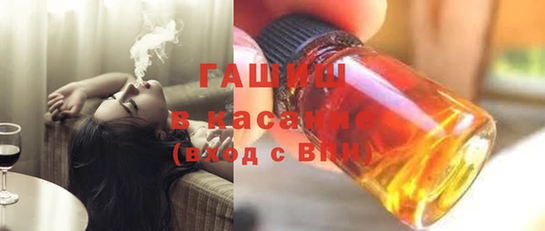 индика Арсеньев