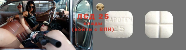 индика Арсеньев
