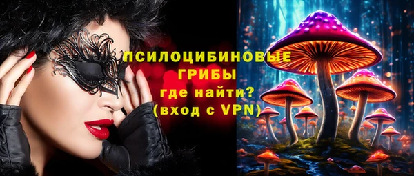 индика Арсеньев