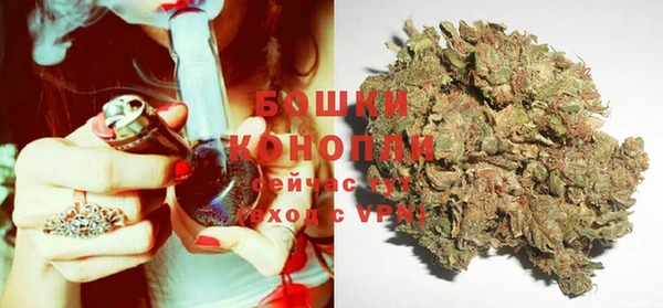 индика Арсеньев