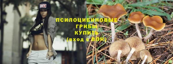 индика Арсеньев