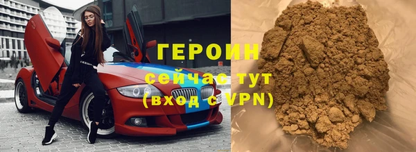 индика Арсеньев