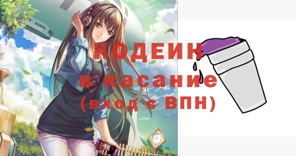 индика Арсеньев