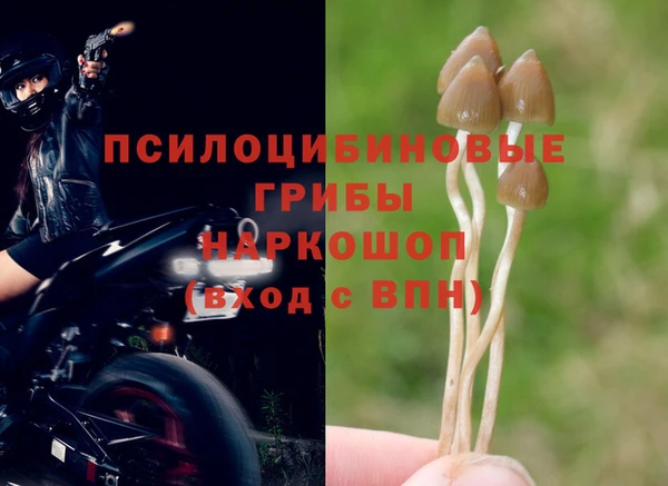 мескалин Аркадак
