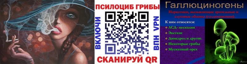 Псилоцибиновые грибы мицелий  наркотики  Моршанск 